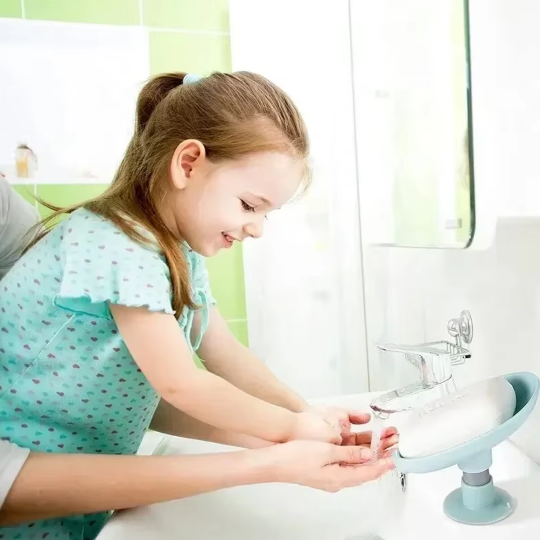 Soap dish